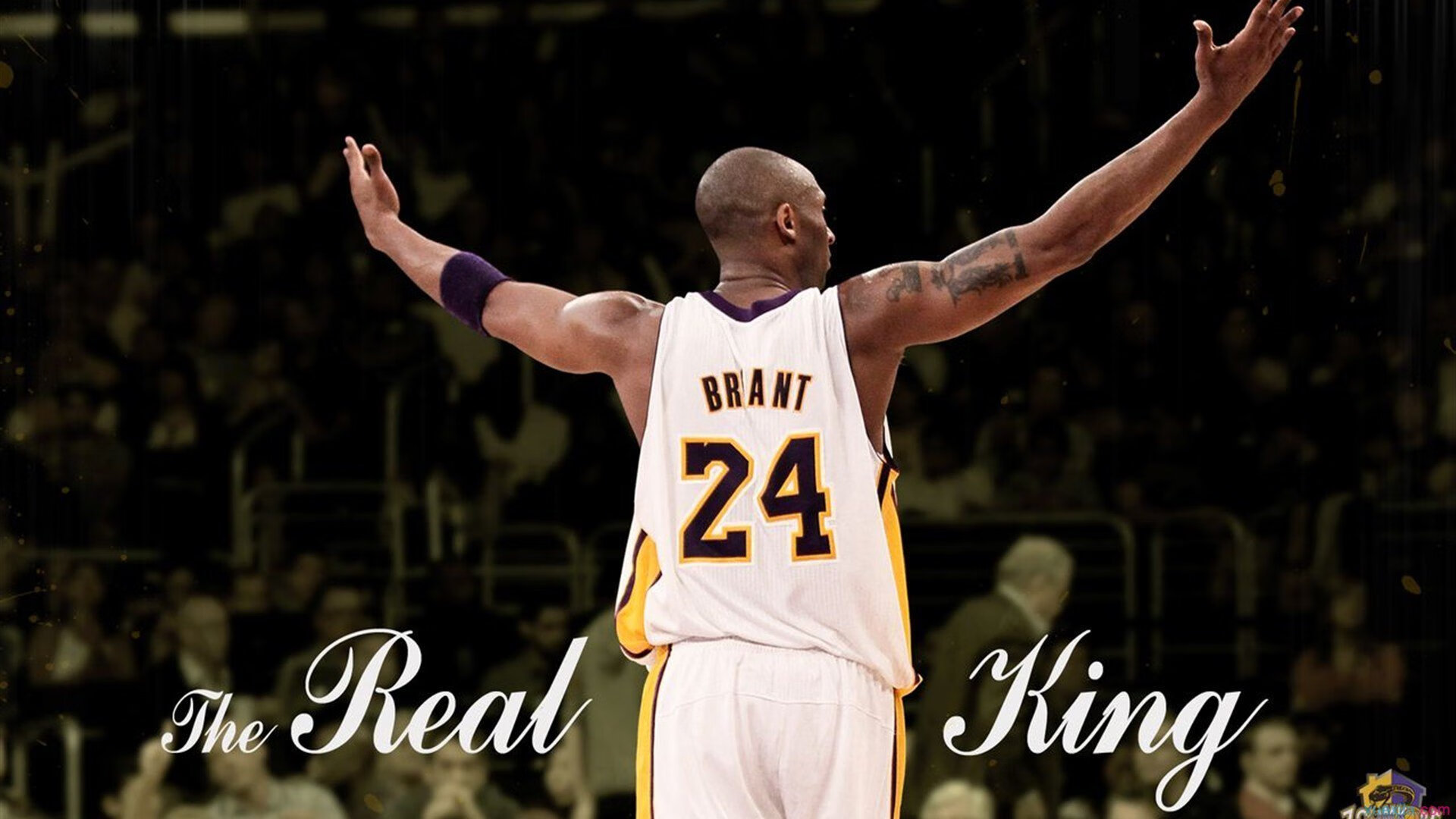 马刺新教练调整战术圈粉球迷评论,马刺新主教练